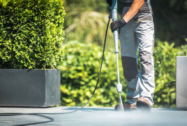 Animal Enclosure Cleaning in Malabar, FL